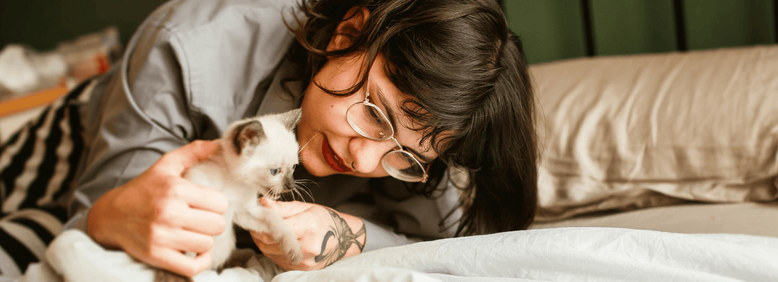 moving a cat to a new house