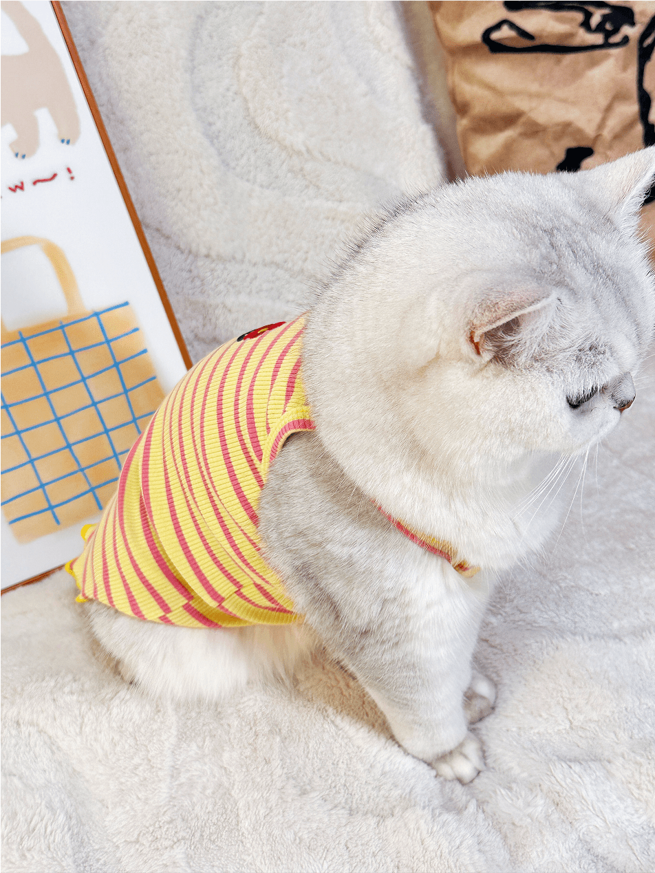 Summer Striped Colorful Cat Shirt