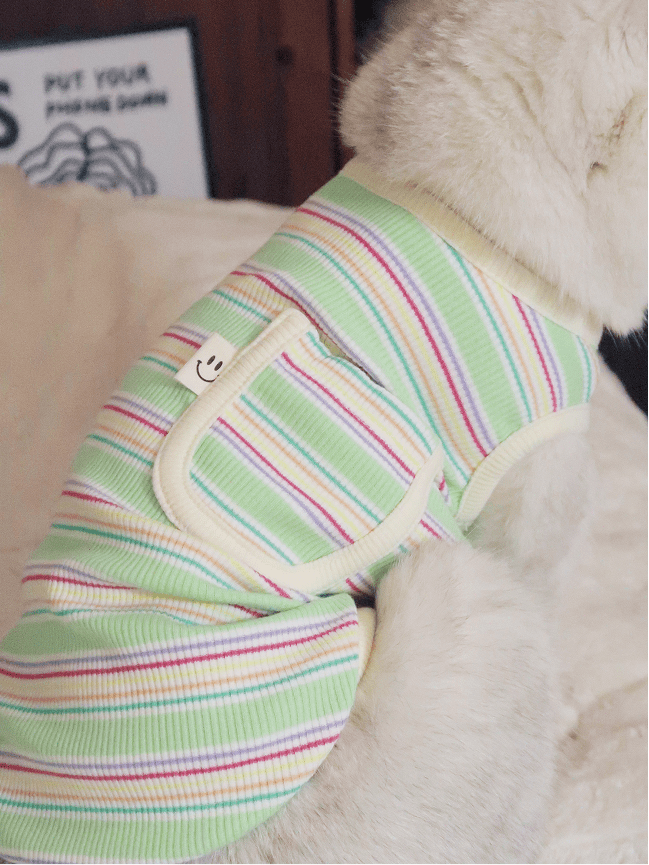 Colorful Summer Striped Cat Vest