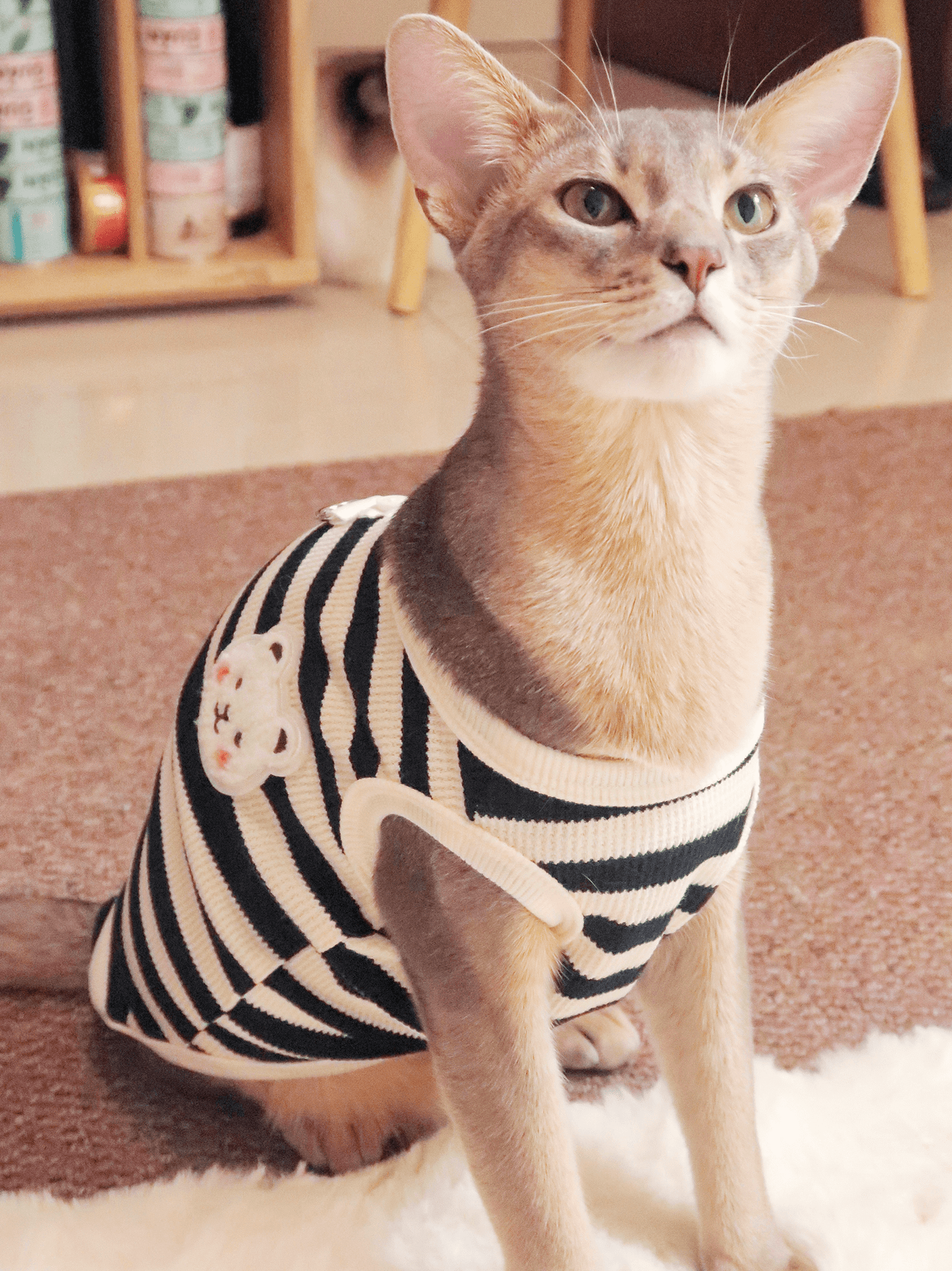 Cute Bear Summer Striped Cat Vest T-Shirt