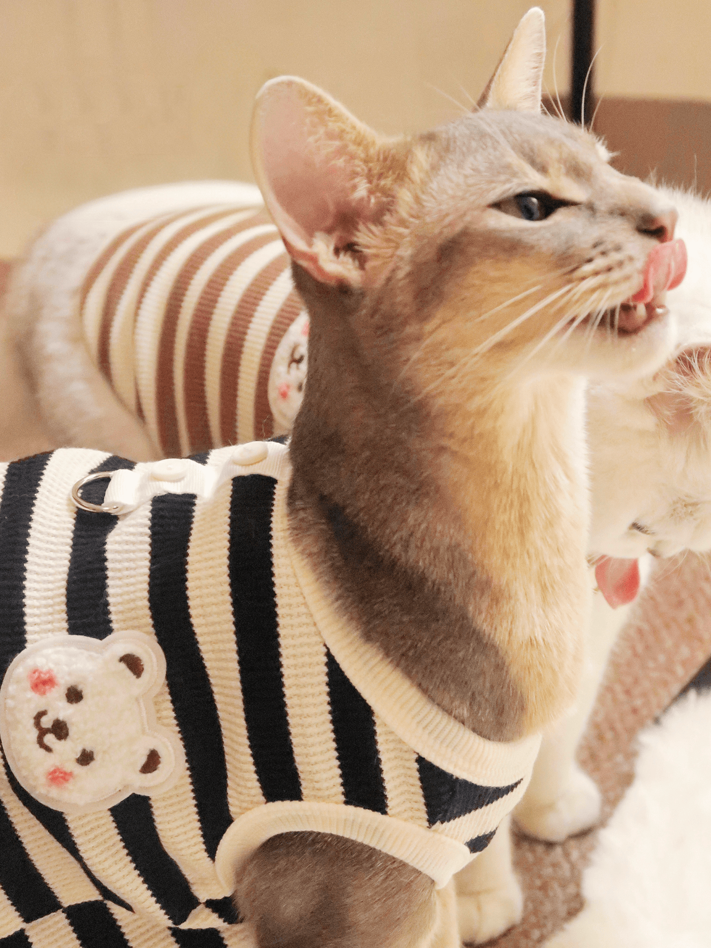 Cute Bear Summer Striped Cat Vest T-Shirt