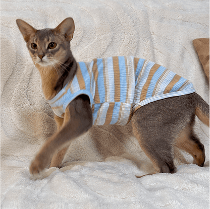 Blue and Green Striped Cat Vest
