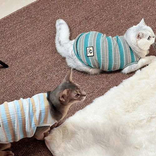 Blue and Green Striped Cat Vest