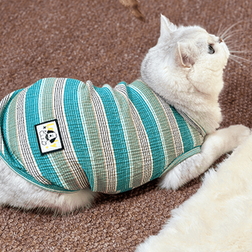 Blue and Green Striped Cat Vest