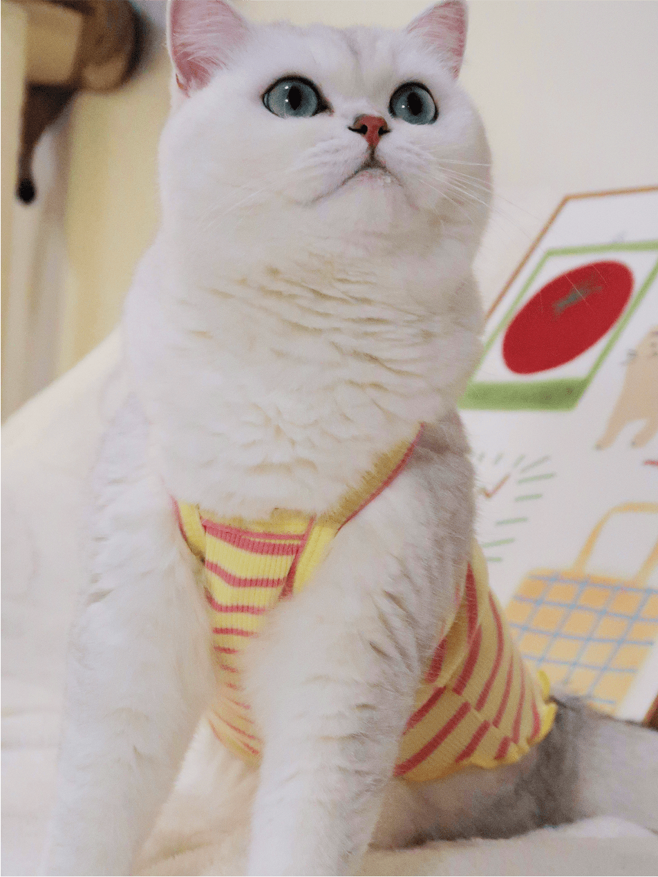 Summer Striped Colorful Cat Shirt