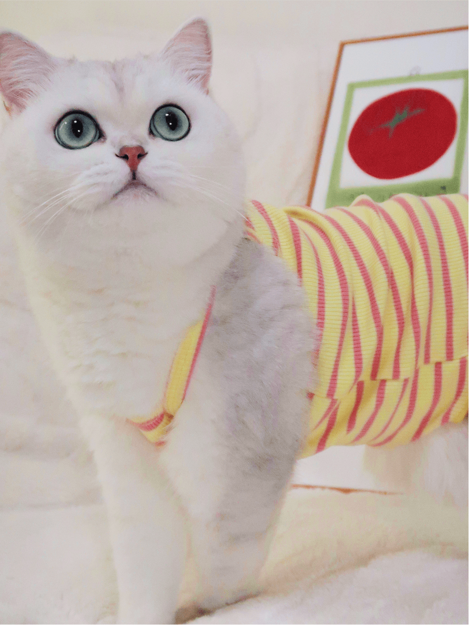 Summer Striped Colorful Cat Shirt