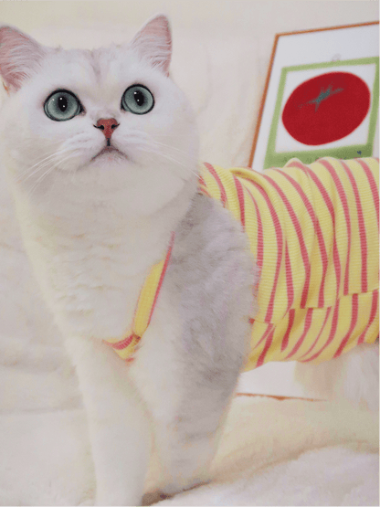 Summer Striped Colorful Cat Shirt