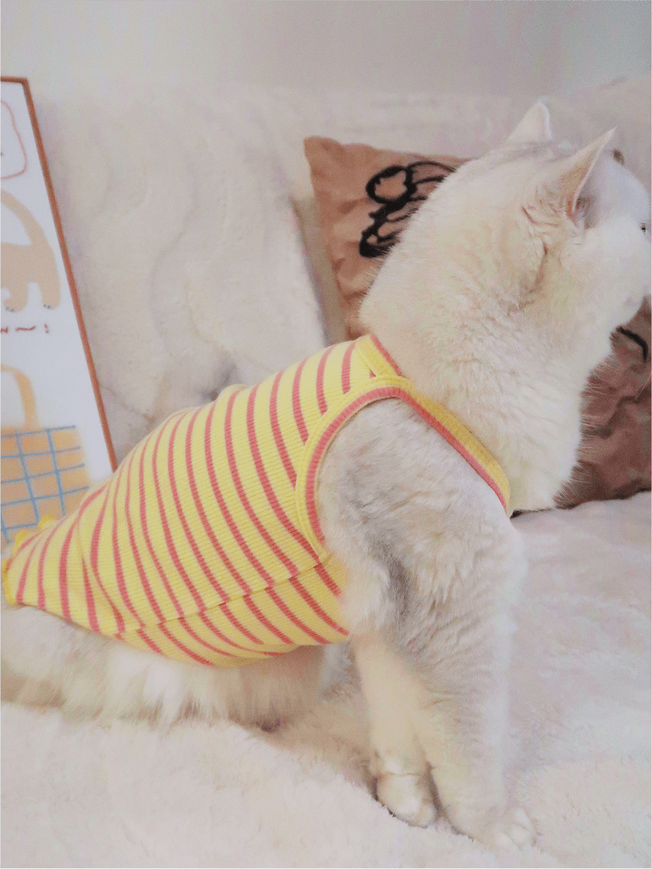 Summer Striped Colorful Cat Shirt